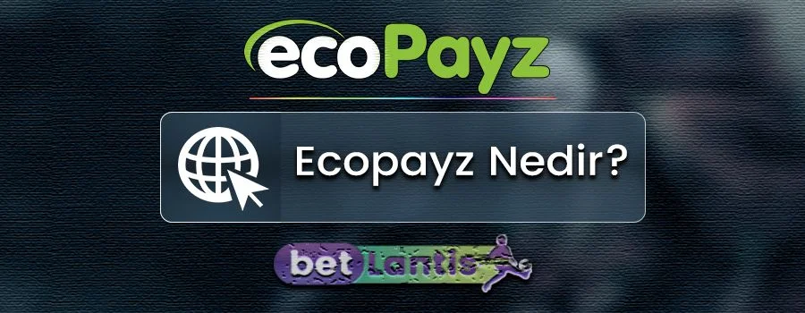 ecopayz-nedir.jpg