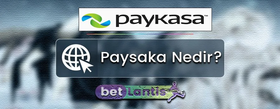 paysaka-nedir.jpg