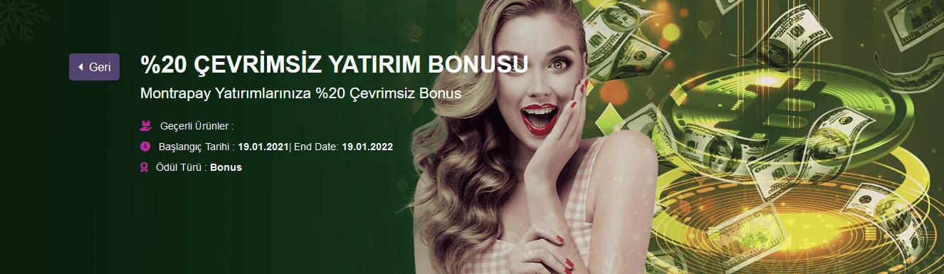 onwin-tw2.png